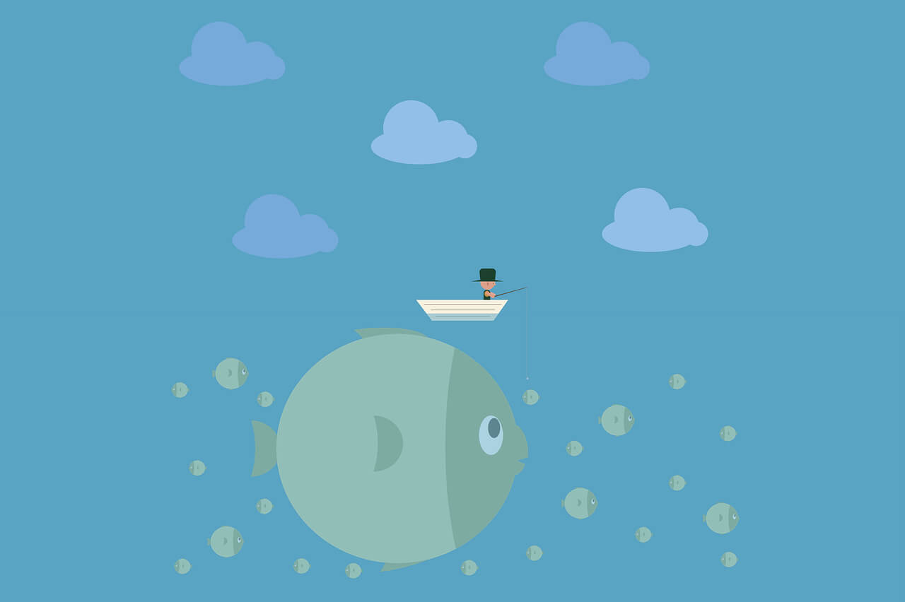 特狗TV v1.0.7清爽版--电脑端 手机端都有 